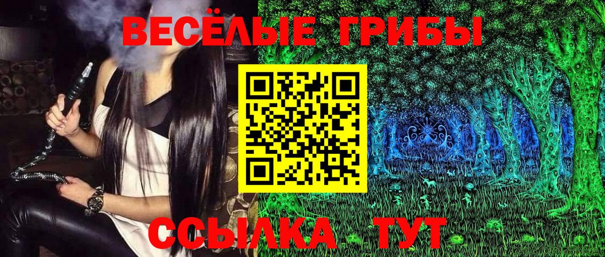 Псилоцибиновые грибы мицелий Борисоглебск