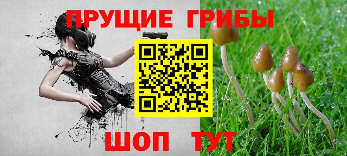 Галлюциногенные грибы Magic Shrooms  купить наркоту  Борисоглебск 