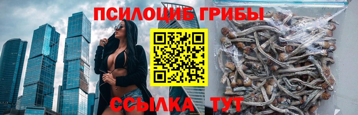 Борисоглебск  купить наркоту  Вход с VPN  Псилоцибиновые грибы ЛСД 
